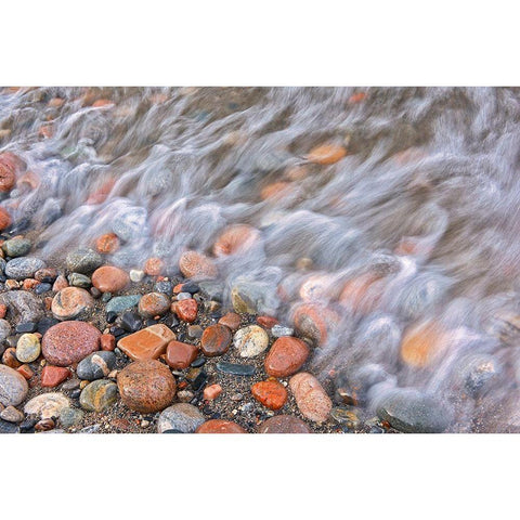 Canada-Ontario-Marathon Rocks and driftwood on Pebble Lake Superiors Beach White Modern Wood Framed Art Print by Jaynes Gallery