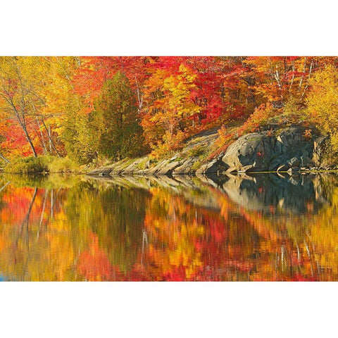 Canada-Ontario-Simon Lake Park Conservation Area Forest and rock reflected in Simon Lake Black Modern Wood Framed Art Print by Jaynes Gallery