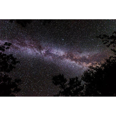 Canada-Ontario-Sioux Narrows Provincial Park-Night sky with Milky Way Black Modern Wood Framed Art Print with Double Matting by Jaynes Gallery