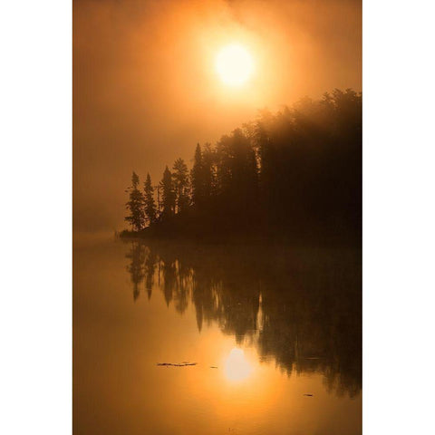 Canada-Ontario-Kenora Isabel Lake in fog at sunrise Black Modern Wood Framed Art Print by Jaynes Gallery