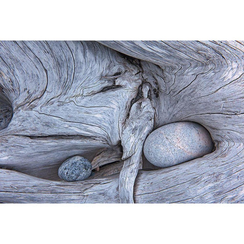 Canada-Ontario-Marathon Rocks in driftwood on Pebble Beach Black Modern Wood Framed Art Print by Jaynes Gallery