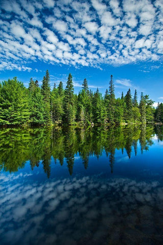 Canada-Ontario-Algonquin Provincial Park-Clouds and boreal forest reflected in Canoe Lake White Modern Wood Framed Art Print with Double Matting by Jaynes Gallery