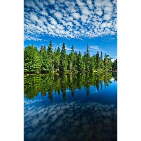 Canada-Ontario-Algonquin Provincial Park-Clouds and boreal forest reflected in Canoe Lake Black Modern Wood Framed Art Print by Jaynes Gallery