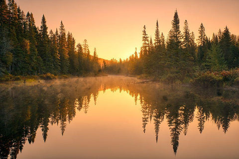 Canada-Ontario-Lake Superior Provincial Park Sunrise forest reflection in waterway White Modern Wood Framed Art Print with Double Matting by Jaynes Gallery