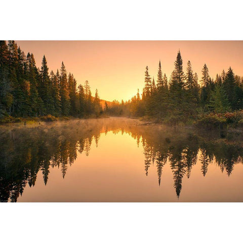 Canada-Ontario-Lake Superior Provincial Park Sunrise forest reflection in waterway Gold Ornate Wood Framed Art Print with Double Matting by Jaynes Gallery