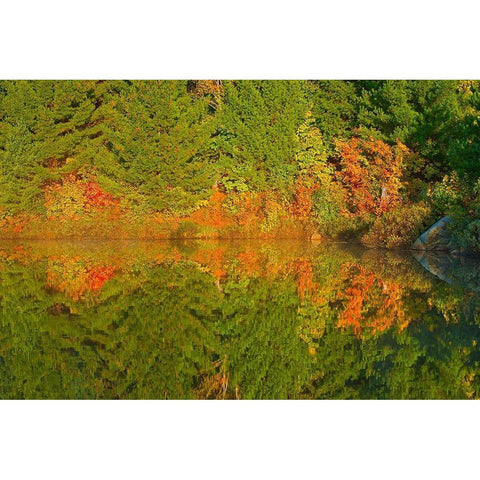 Canada-Ontario-Sudbury Autumn colors reflect in Lake Laurentian at sunrise Black Modern Wood Framed Art Print by Jaynes Gallery
