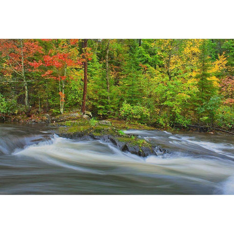 Canada-Ontario Berry Creek landscape Black Modern Wood Framed Art Print with Double Matting by Jaynes Gallery