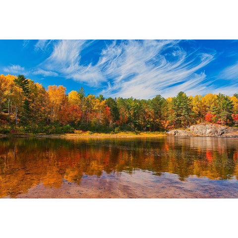 Canada-Ontario-Chutes Provincial Park Reflection on the Aux Sables River in autumn White Modern Wood Framed Art Print by Jaynes Gallery