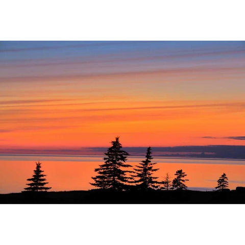 Canada, West Cape Trees on Prince Edward Island Black Modern Wood Framed Art Print by Grandmaison, Mike