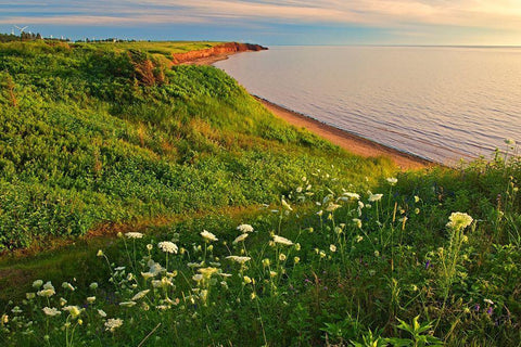 Canada-Prince Edward Island-Campbelton Red sand and bluffs along Northumberland Strait Black Ornate Wood Framed Art Print with Double Matting by Jaynes Gallery