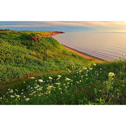 Canada-Prince Edward Island-Campbelton Red sand and bluffs along Northumberland Strait Gold Ornate Wood Framed Art Print with Double Matting by Jaynes Gallery