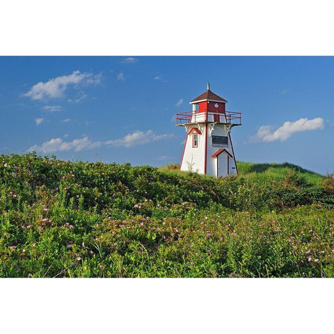 Canada-Prince Edward Island-Covehead Harbour Lighthouse and flowers White Modern Wood Framed Art Print by Jaynes Gallery