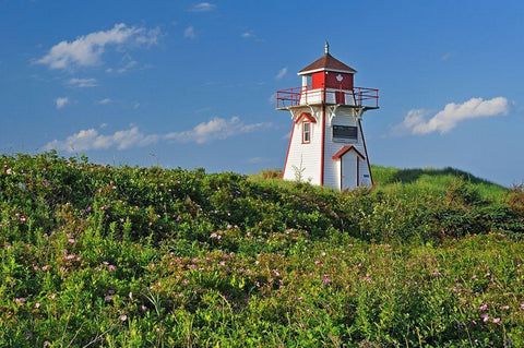 Canada-Prince Edward Island-Covehead Harbour Lighthouse and flowers White Modern Wood Framed Art Print with Double Matting by Jaynes Gallery