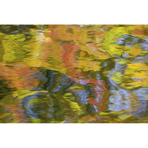 Quebec, Canada Autumn reflects on water patterns Black Modern Wood Framed Art Print with Double Matting by Delisle, Gilles