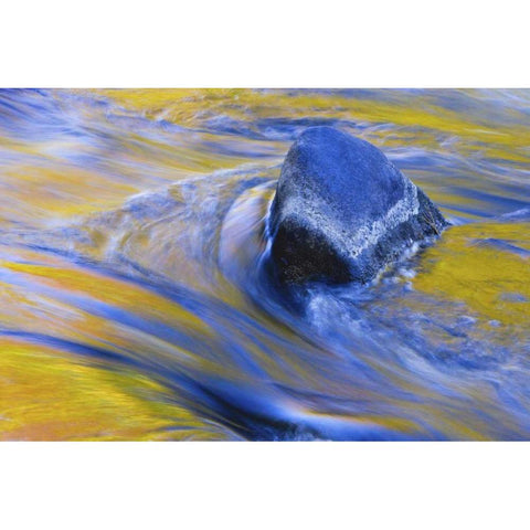 Canada, Quebec Fall colors reflecting on a river Black Modern Wood Framed Art Print by Delisle, Gilles