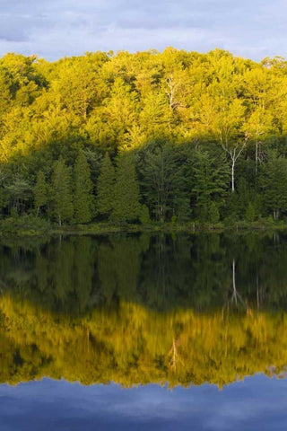 Canada, Quebec, Sunset on Lake Long Pond White Modern Wood Framed Art Print with Double Matting by Delisle, Gilles