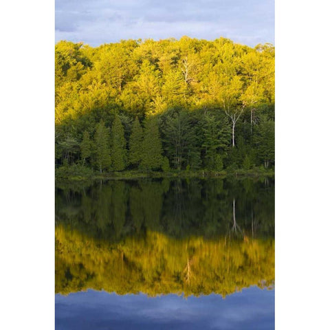 Canada, Quebec, Sunset on Lake Long Pond Black Modern Wood Framed Art Print by Delisle, Gilles