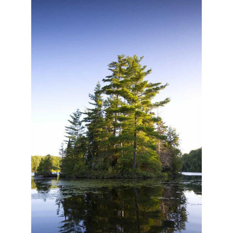 Canada, Quebec Island on Lake Long Pond Black Modern Wood Framed Art Print by Delisle, Gilles