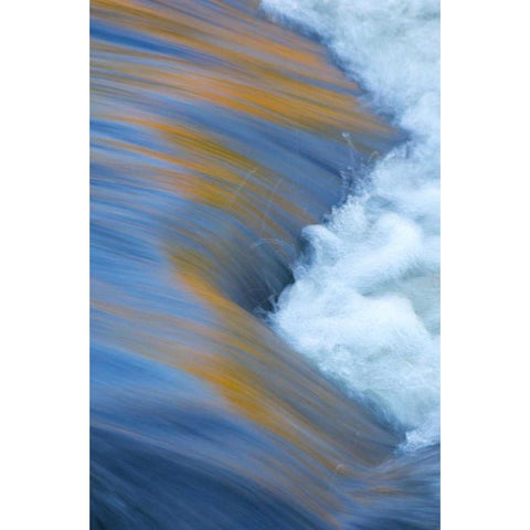 Canada, Quebec Autumn along Riviere du Nord White Modern Wood Framed Art Print by Delisle, Gilles