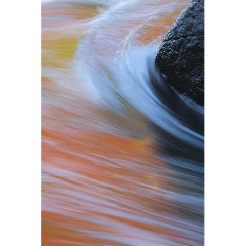 Canada, Quebec Autumn along Riviere du Nord Gold Ornate Wood Framed Art Print with Double Matting by Delisle, Gilles