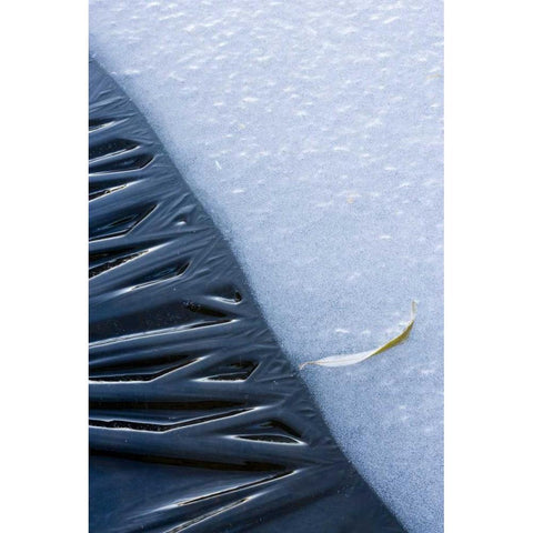 Canada, Quebec, Lakeshore ice Black Modern Wood Framed Art Print with Double Matting by Delisle, Gilles