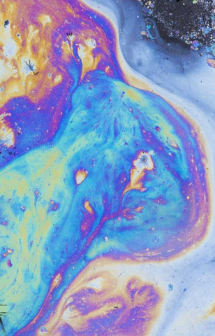 Canada, Quebec, Natural plant oil display White Modern Wood Framed Art Print with Double Matting by Delisle, Gilles