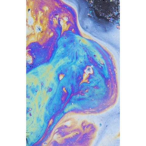 Canada, Quebec, Natural plant oil display Gold Ornate Wood Framed Art Print with Double Matting by Delisle, Gilles