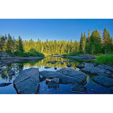 Canada-Quebec-La Mauricie National Park Ruisseau Bouchard Creek landscape White Modern Wood Framed Art Print by Jaynes Gallery