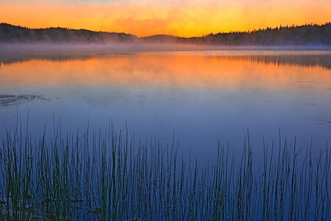 Canada-Quebec-Chibougamau Fog over Lac Sauvage at dawn Black Ornate Wood Framed Art Print with Double Matting by Jaynes Gallery