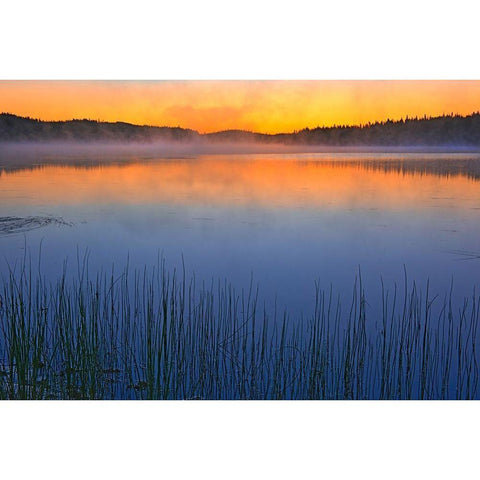 Canada-Quebec-Chibougamau Fog over Lac Sauvage at dawn Black Modern Wood Framed Art Print by Jaynes Gallery