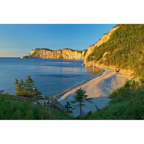 Canada-Quebec-Forillon National Park Limestone cliffs along bay Black Modern Wood Framed Art Print by Jaynes Gallery