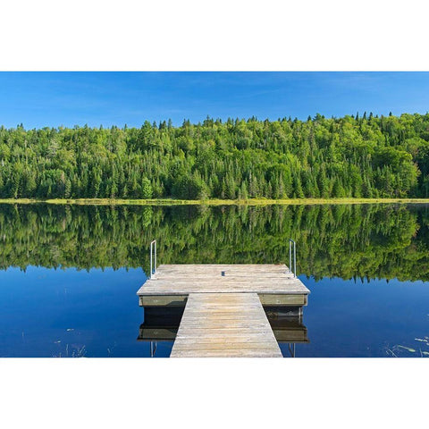 Canada-Quebec-La Mauricie National Park Tree reflection and dock in Lac Modene White Modern Wood Framed Art Print by Jaynes Gallery