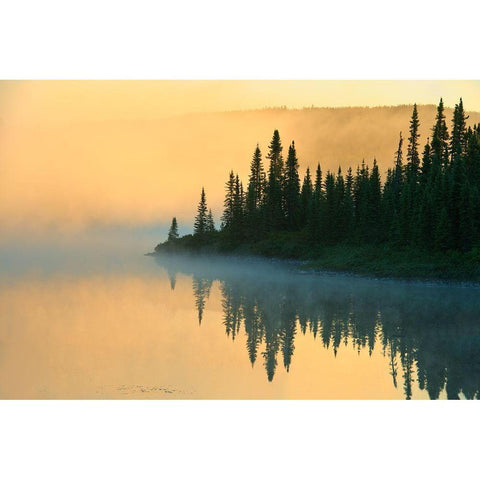 Canada-Quebec-Chibougamau Lake in fog at sunrise Black Modern Wood Framed Art Print by Jaynes Gallery