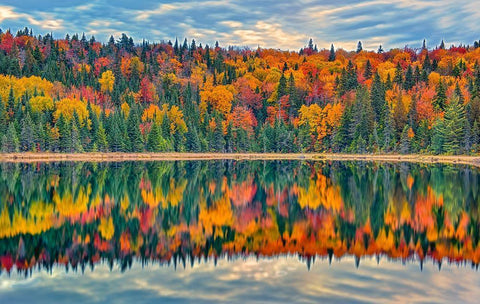 Canada-Quebec-La Mauricie National Park Autumn colors reflected in Lac Modene Black Ornate Wood Framed Art Print with Double Matting by Jaynes Gallery
