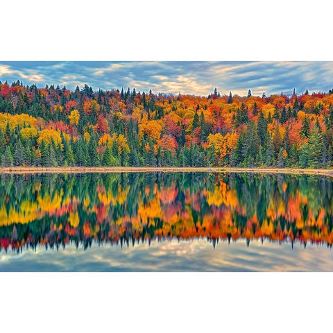 Canada-Quebec-La Mauricie National Park Autumn colors reflected in Lac Modene Gold Ornate Wood Framed Art Print with Double Matting by Jaynes Gallery