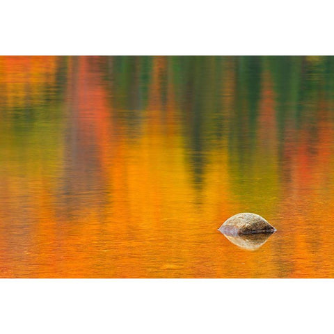 Canada-Quebec-La Mauricie National Park Rock and autumn colors reflected in Lac Wapizagonke White Modern Wood Framed Art Print by Jaynes Gallery