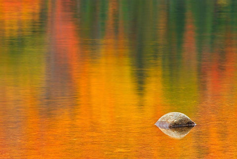 Canada-Quebec-La Mauricie National Park Rock and autumn colors reflected in Lac Wapizagonke White Modern Wood Framed Art Print with Double Matting by Jaynes Gallery
