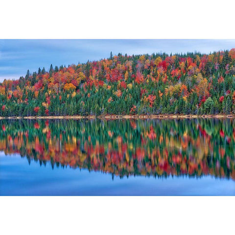Canada-Quebec-La Mauricie National Park Autumn colors reflected in Lac Modene Gold Ornate Wood Framed Art Print with Double Matting by Jaynes Gallery