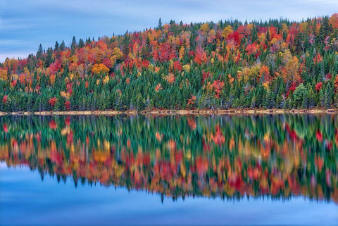 Canada-Quebec-La Mauricie National Park Autumn colors reflected in Lac Modene Black Ornate Wood Framed Art Print with Double Matting by Jaynes Gallery