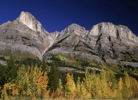 Canada, Saskatchewan, Banff NP White Modern Wood Framed Art Print with Double Matting by Grandmaison, Mike