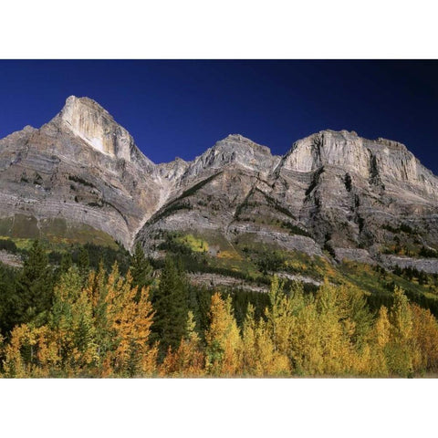 Canada, Saskatchewan, Banff NP Black Modern Wood Framed Art Print by Grandmaison, Mike