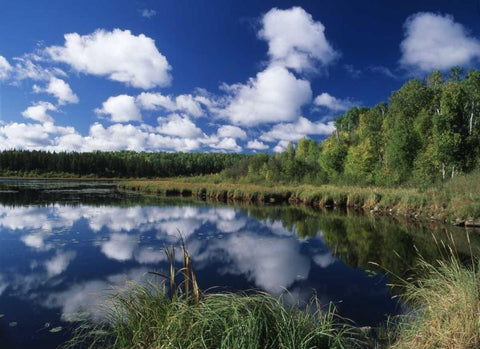 Canada, Saskatchewan,Prince Albert NP, Pond White Modern Wood Framed Art Print with Double Matting by Grandmaison, Mike