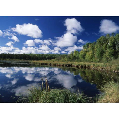Canada, Saskatchewan,Prince Albert NP, Pond White Modern Wood Framed Art Print by Grandmaison, Mike
