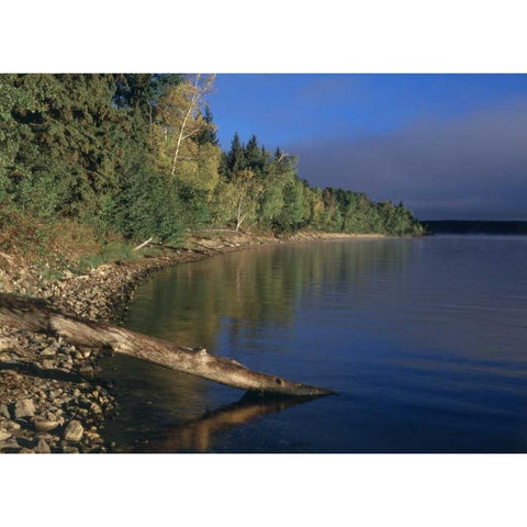 Canada, Saskatchewan, Waskesiu Lake White Modern Wood Framed Art Print by Grandmaison, Mike