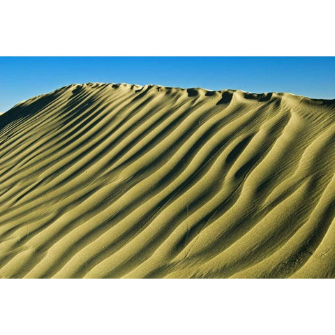 Canada, Great Sand Hills Pattern in sand dunes Black Modern Wood Framed Art Print by Grandmaison, Mike