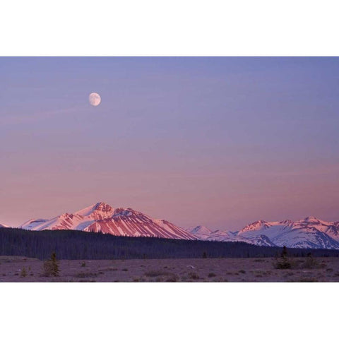 Canada, BC, Moonrise over mountains at sunset Black Modern Wood Framed Art Print by Paulson, Don