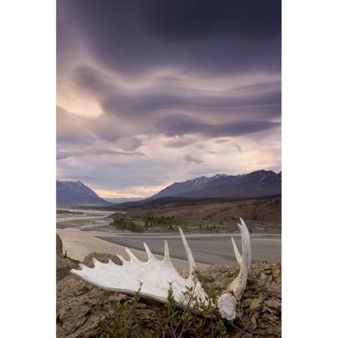 Canada, BC, Yukon, Moose antler and landscape Black Modern Wood Framed Art Print by Paulson, Don