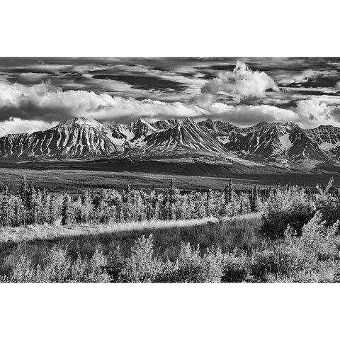 Canada-Yukon-Haines Junction St Elias Mountains landscape Black Modern Wood Framed Art Print by Jaynes Gallery