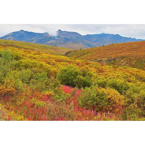 Canada-Yukon Autumn-colored hills and fog Black Modern Wood Framed Art Print by Jaynes Gallery