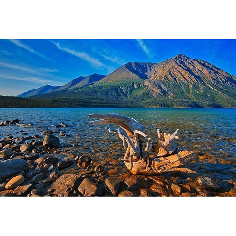 Canada-Yukon-Kluane National Park St Elias Mountains and driftwood on shore of Kathleen Lake Black Modern Wood Framed Art Print with Double Matting by Jaynes Gallery